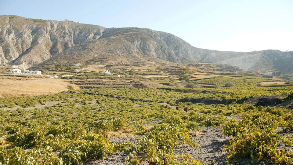 Santorini: Guided Highlights Tour with Private Wine Tasting - Transport, Timing, and Why the “Private” Part Matters