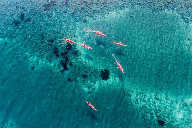 Santorini Guided Sea Kayaking with Light Lunch and Pick-up Option - Light lunch in a traditional tavern (and how to time your appetite)