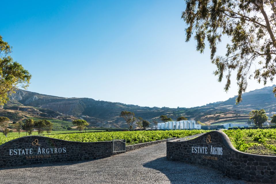 Santorini: Guided Wineries Private Tour with Wine Tastings - Should You Book This Santorini Guided Wineries Tour?