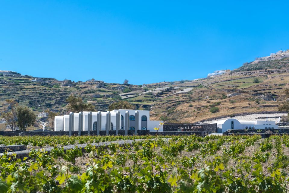 Santorini: Guided Wineries Private Tour with Wine Tastings - Pickup, Transport, and the Real Comfort Factor on Santorini Roads