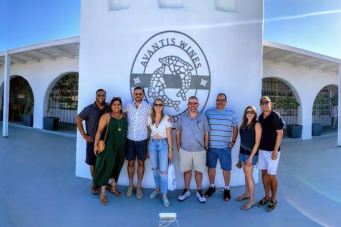 Santorini Half Day Wine Tasting & Winery Tour with Pickup - Why this Santorini wine tasting feels easier than doing it solo