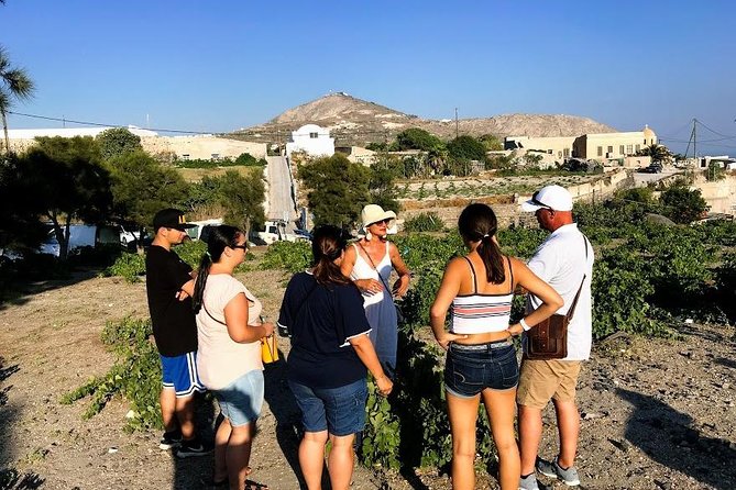 Santorini Half Day Wine Tasting & Winery Tour with Pickup - Sunset timing: the good news and the reality check