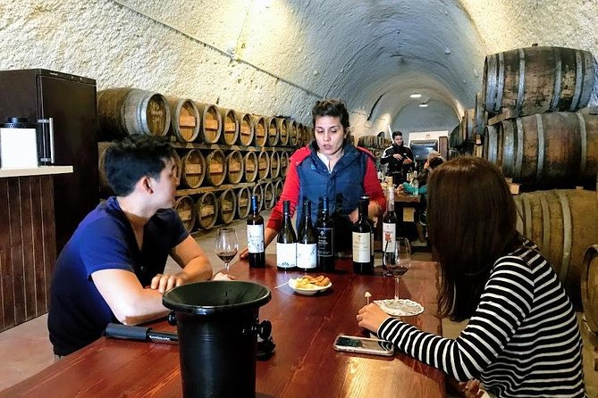Santorini Half Day Wine Tasting & Winery Tour with Pickup - Practical tips so your day goes smoothly