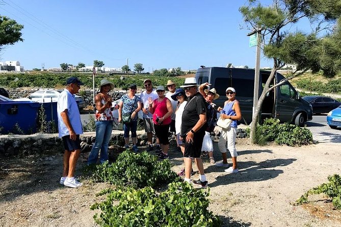 Santorini Half Day Wine Tasting & Winery Tour with Pickup - Should you book the Santorini Half Day Wine Tasting & Winery Tour with Pickup?