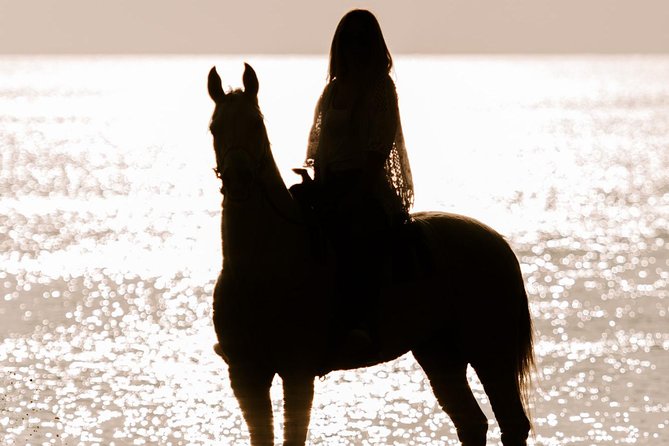 Santorini: Horse Riding to the Black Sandy Beach (Eros beach) - Eros Beach: The Black Shore Moment You Came For