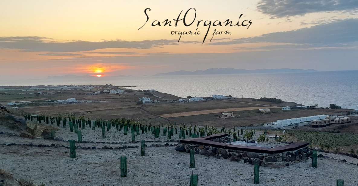 Santorini: Private Agri-Educational Visit to an Organic Farm - Key points before you go