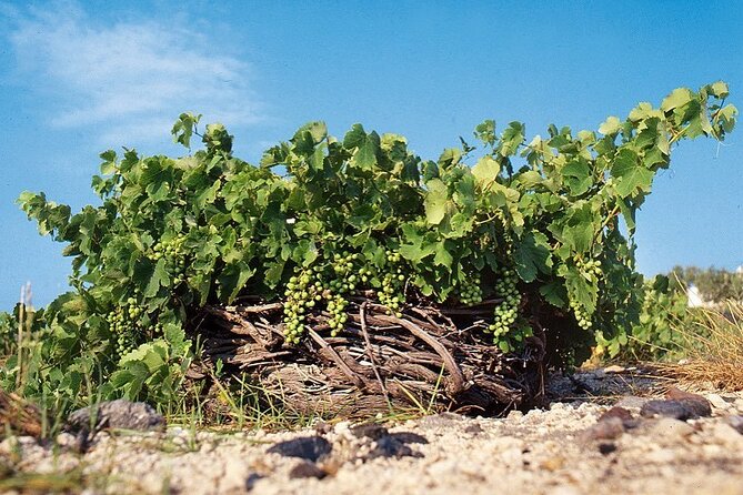 Santorini Private Highlights Tour & Wine Tasting with local guide - Price and value: what you’re really paying for at $167.76