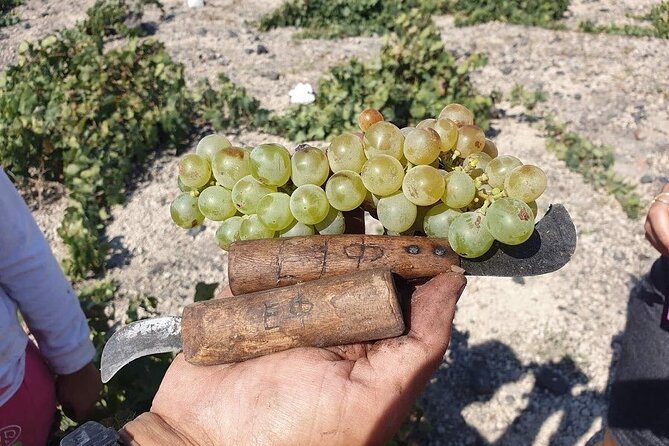 Santorini Private Highlights Tour & Wine Tasting with local guide - Three Bells of Fira and Oia: iconic caldera views, manage the crowds