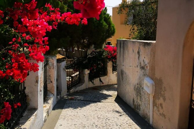 Santorini Private Tour Highlights 6h for Groups and Families - Red Beach at Akrotiri: volcanic color, short and sweet