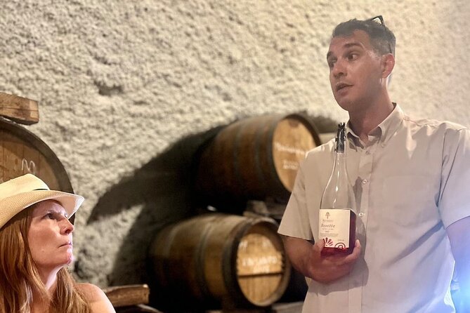 Santorini Private Wine Tasting Tour: Up to 4 Wineries & Lunch - Getting picked up in Santorini, including cruise ship timing