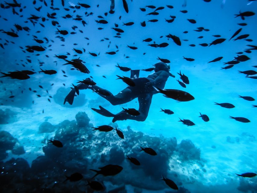 Santorini: Scuba Diving Experience for Beginners - Key things to know before you go