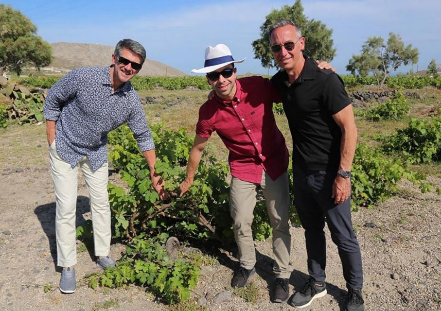 Santorini: Small-Group Sunset Wine Tour with Santo Winery - Key highlights