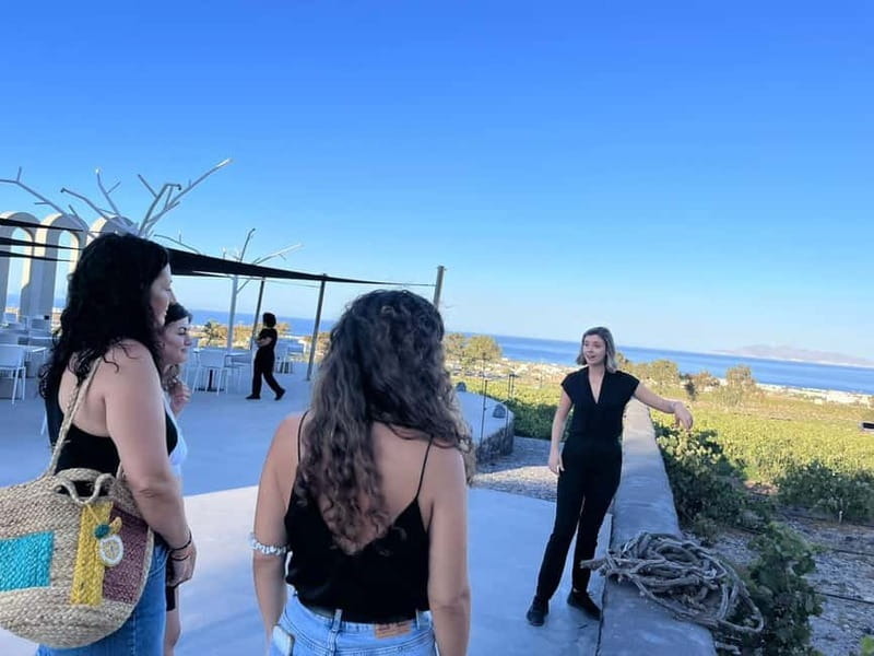 Santorini: Small Group Tour of 3 Local Wineries - Mandilaria, Assyrtiko, and Volcanic Soil Traditions