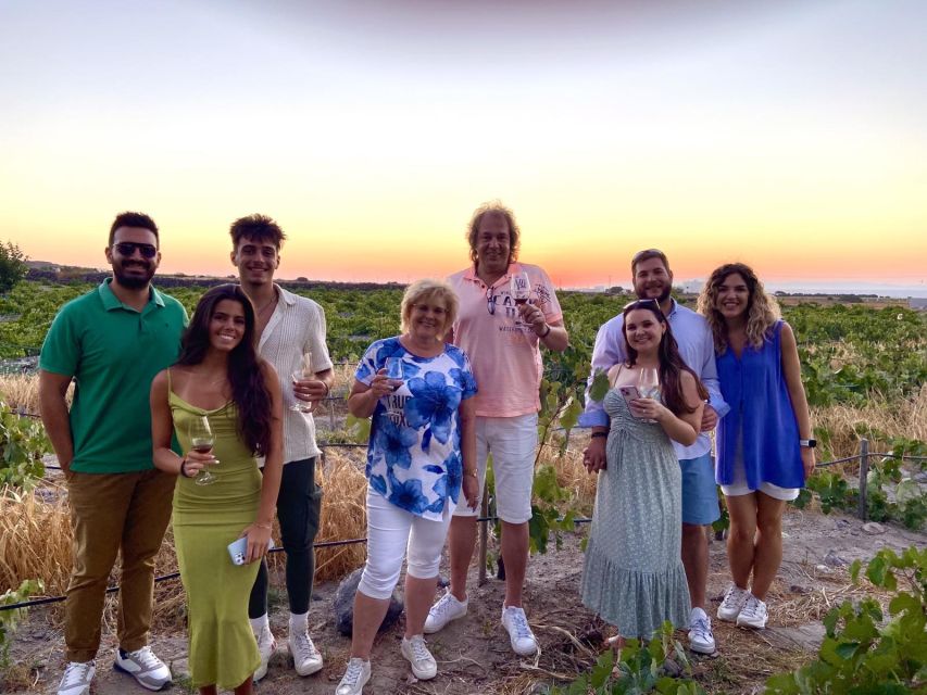 Santorini: Vineyard and Winery Tour with Cooking Class - Small-Group Pace and the Right Type of Traveler