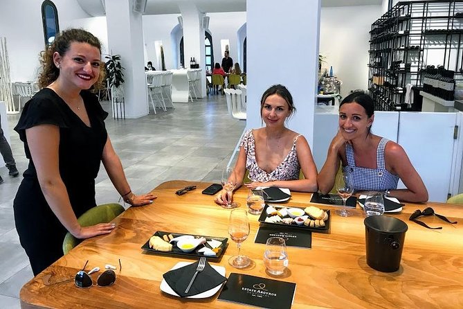 Santorini Wine and Food Experience with pick up included - Estate Argyros: Greek food, Cycladic cheeses, and the first full tasting