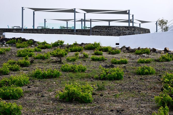 Santorini Wine Tasting and Sunset Getaway Small Group Tour - Comfort, Logistics, and Who This Fits Best