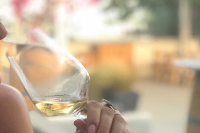Santorini wine tasting and Traditional Cave Settlement Tour - Key highlights to look for