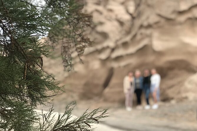 Santorini wine tasting and Traditional Cave Settlement Tour - A 2.5-hour small-group plan with pickup that saves your energy
