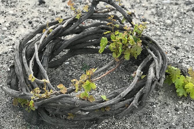 Santorini wine tasting and Traditional Cave Settlement Tour - Volcanic Santorini wine tasting: ancient vines and the snack-and-water setup