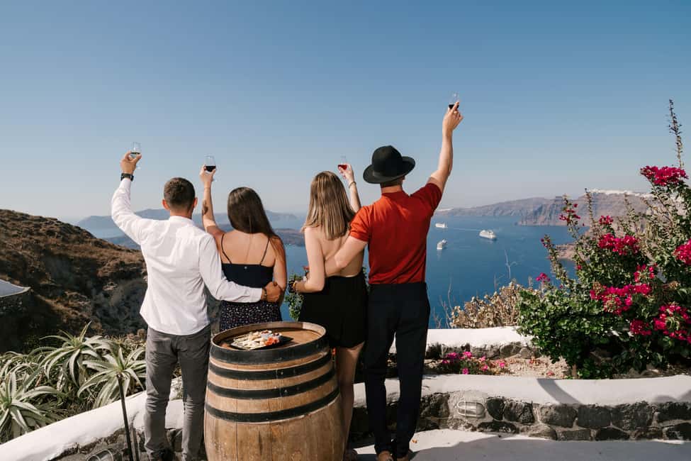 Santorini: Wine Tasting Tour to 3 Wineries with Transfer - Who this wine tour is best for