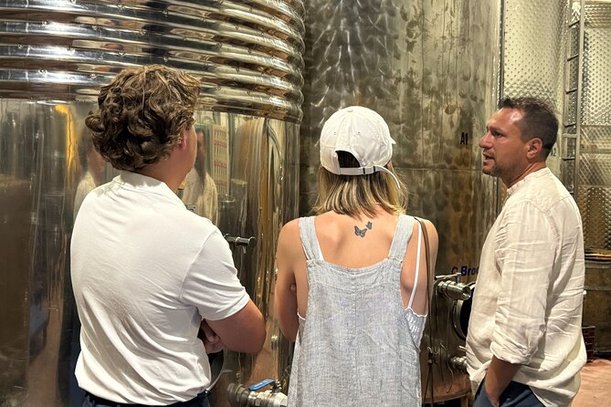 Santorini Wine Tour: 2 Wineries with Tastings & Local Snacks - Why This 3-Hour Santorini Wine Tour Feels Like a Real Experience