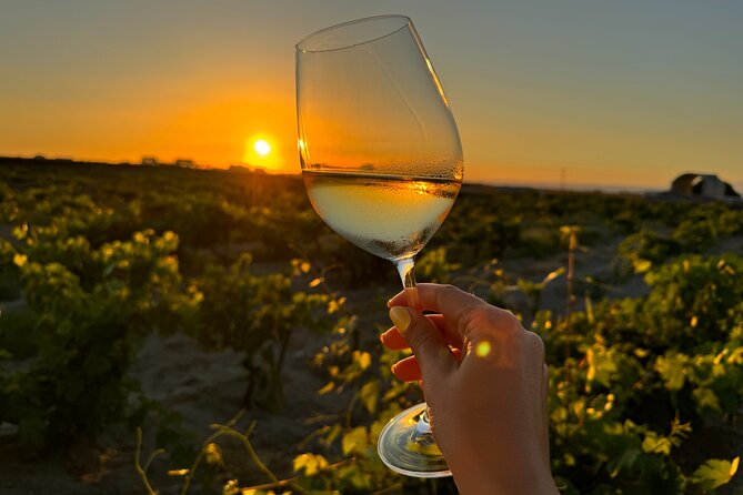 Santorini Wine Tour: 2 Wineries with Tastings & Local Snacks - Who Should Book This Santorini Wine Tour