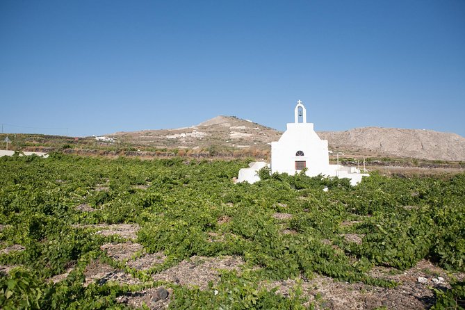 Santorini Wine Tour: Taste 12 best wines & 3 beers with pairings - Pairings, Snacks, and the Pace Between Tastings