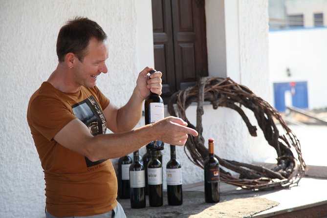 Small-Group Greek Food and Wine Tasting Tour in Santorini - Guides can make or break a wine tour