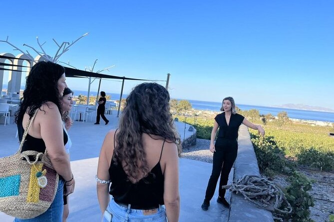 Small Group Local Wine Tasting Tour In Santorini - Key points to know before you go