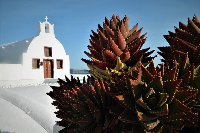 Stress-Free Santorini Shore Excursion: Private Highlights Tour - Private highlights in Santorini: what stress-free really means